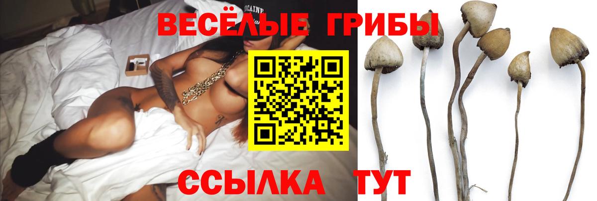 Обь  Псилоцибиновые грибы Cubensis  Вход с VPN 